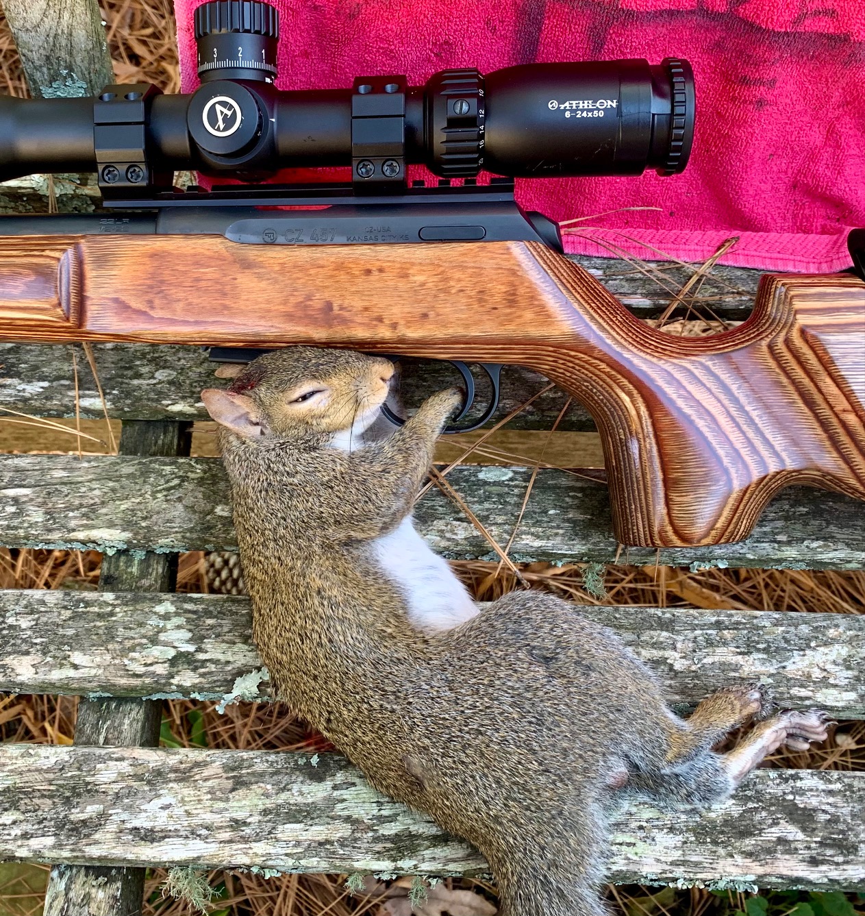Rifle+Squirrel.jpg