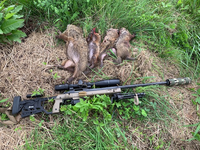 Rifles (6).jpg