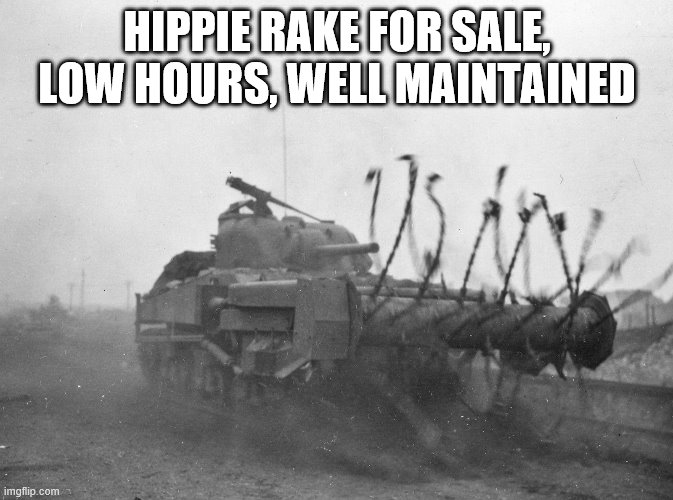 riot hippie rake.jpg