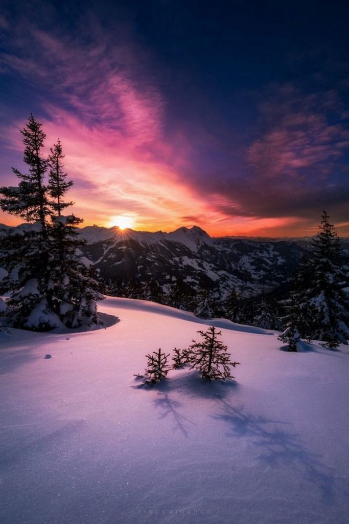 rise-shine-20151221-22-683x1024.jpeg
