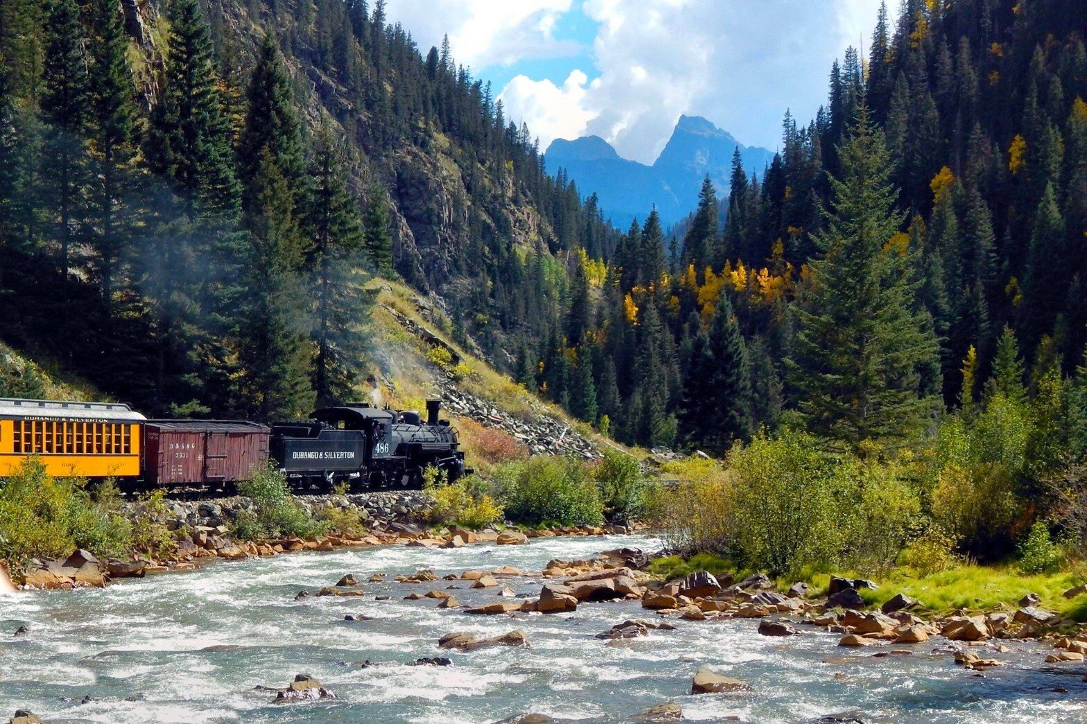 river train.jpeg