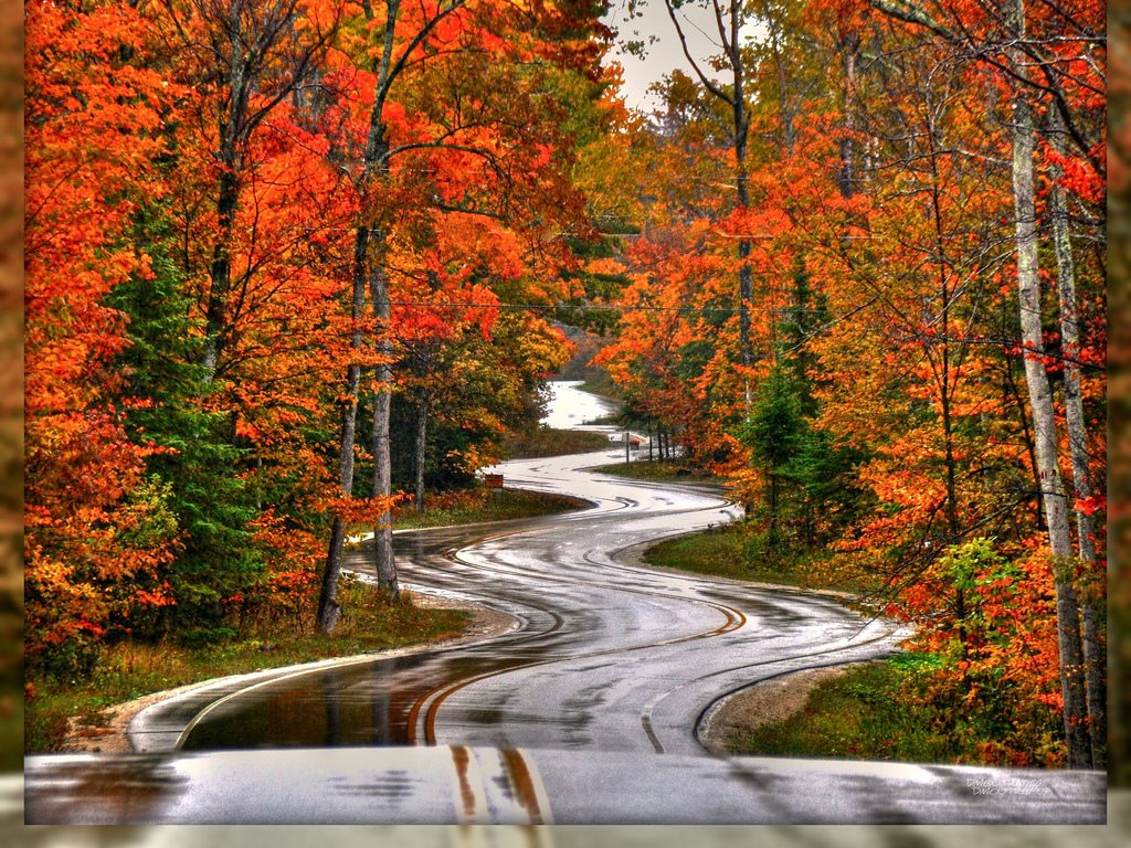Road after the rain Wallpaper__yvt2.jpeg