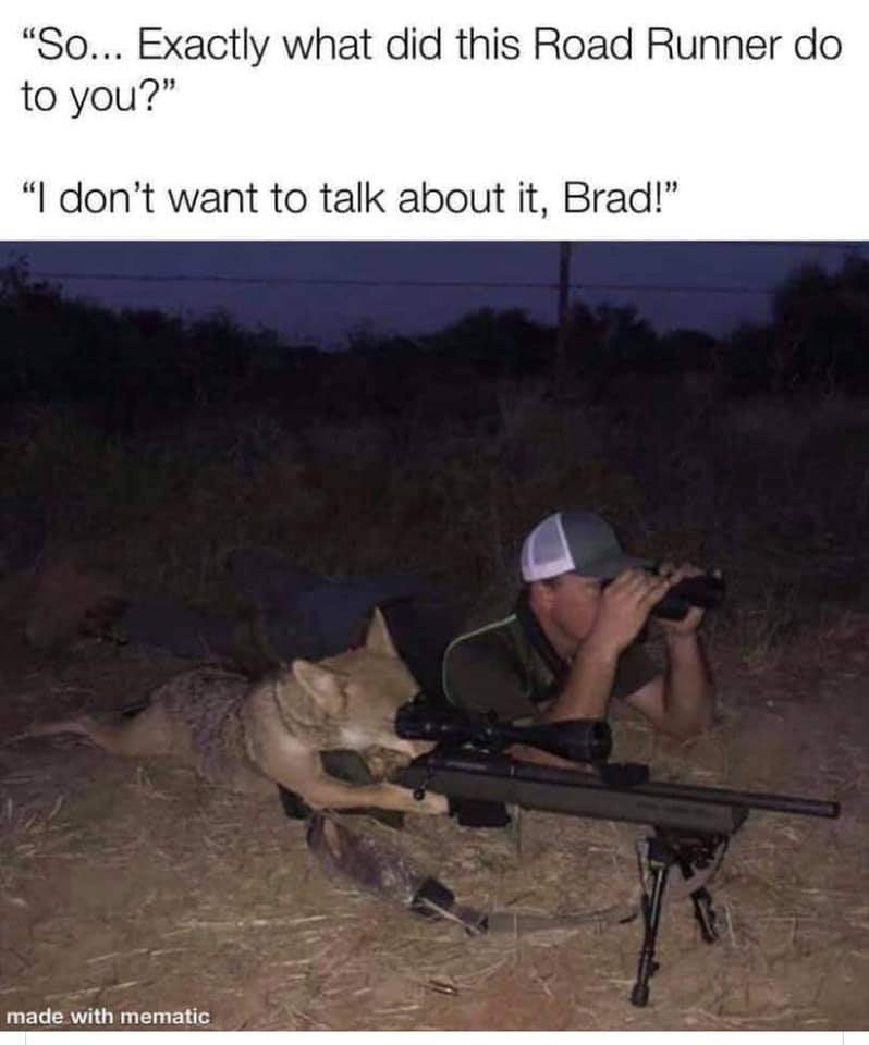 road runner.jpg