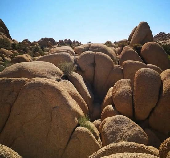 Rocks.png