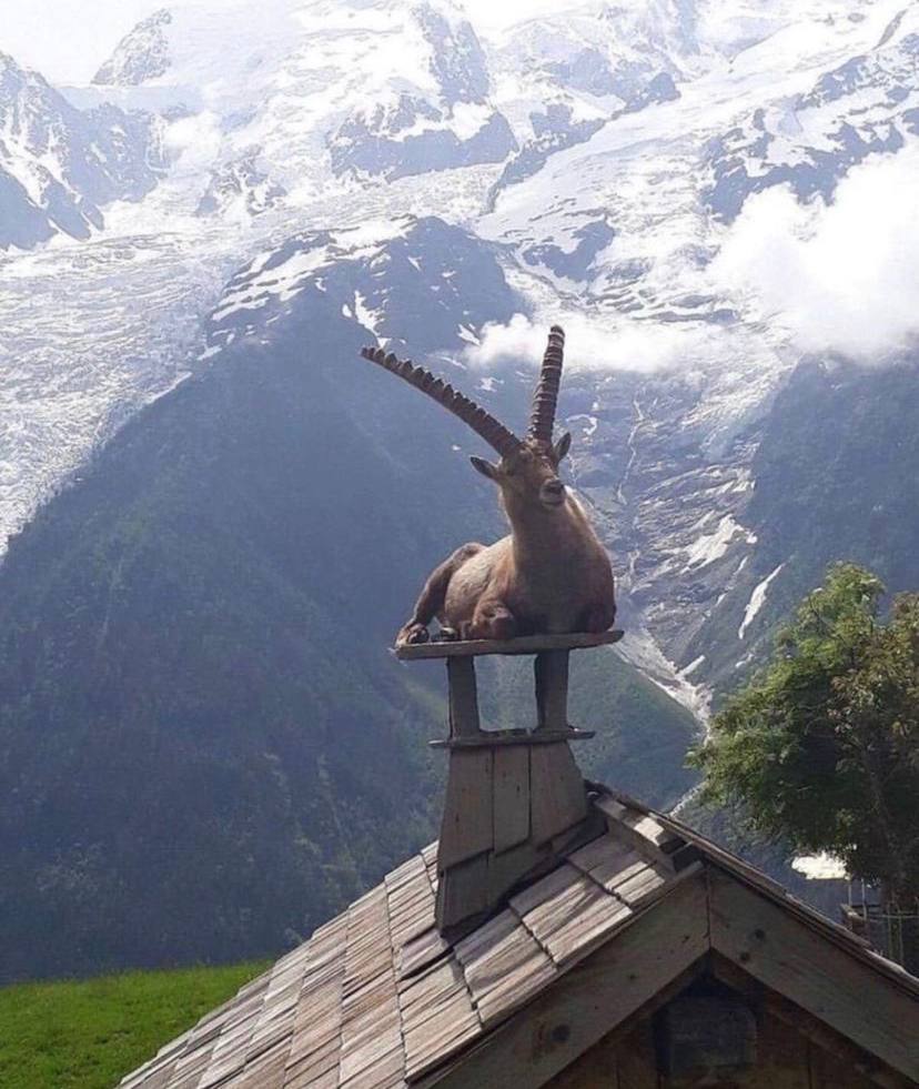 rooftop.jpg