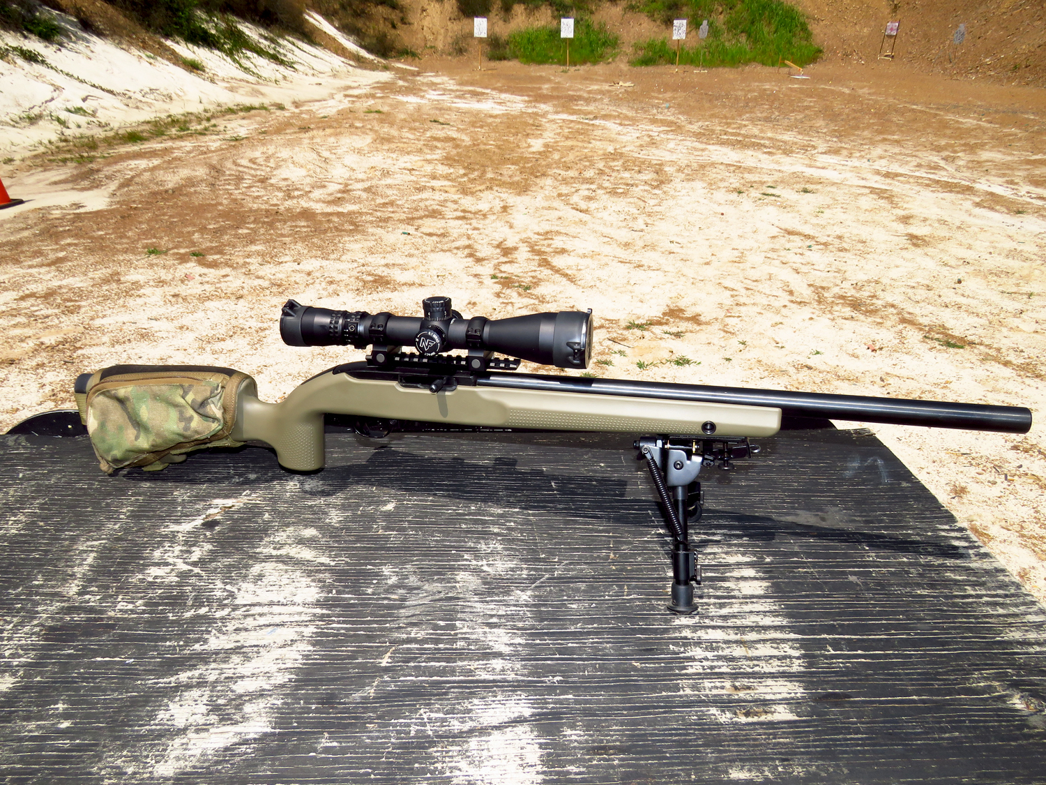 Ruger 1022.jpg