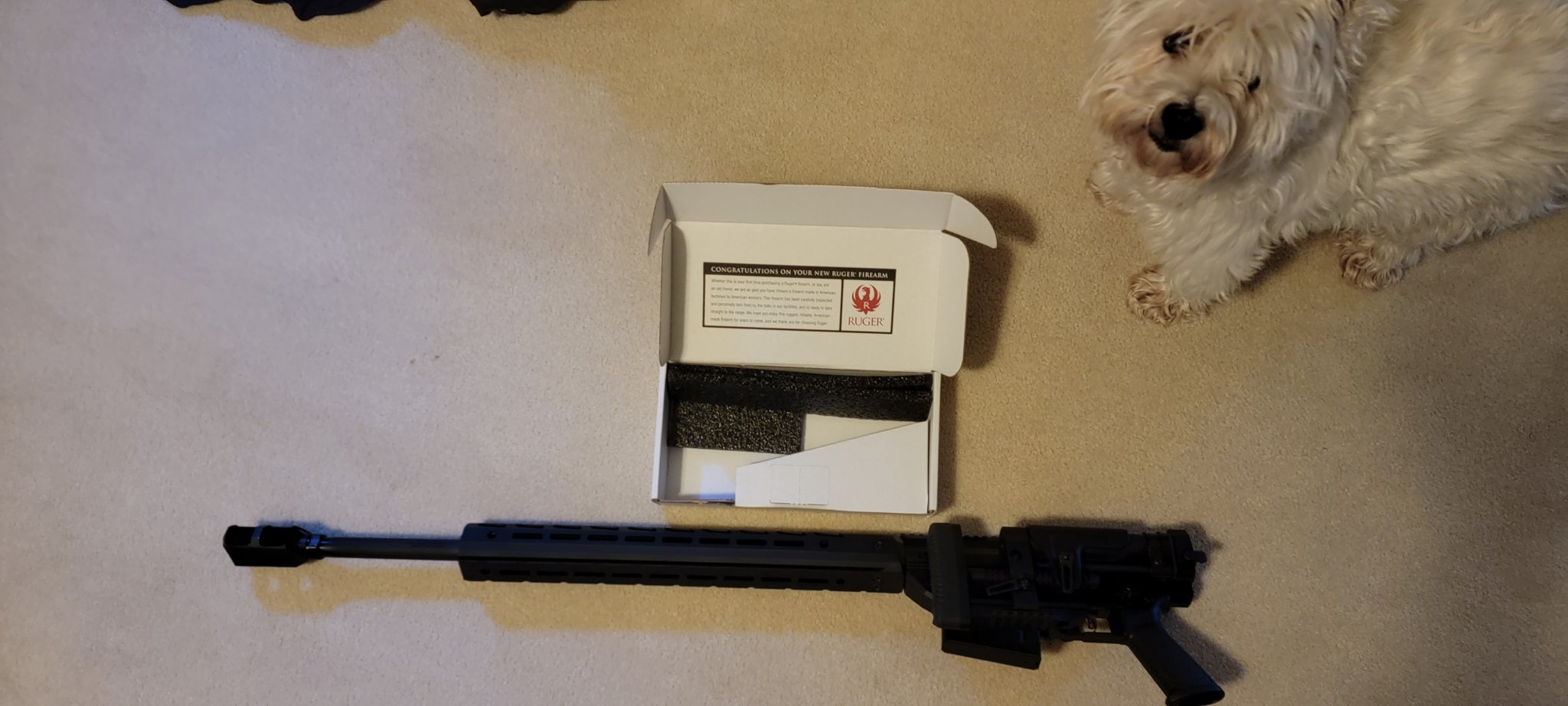 Ruger Box.jpg