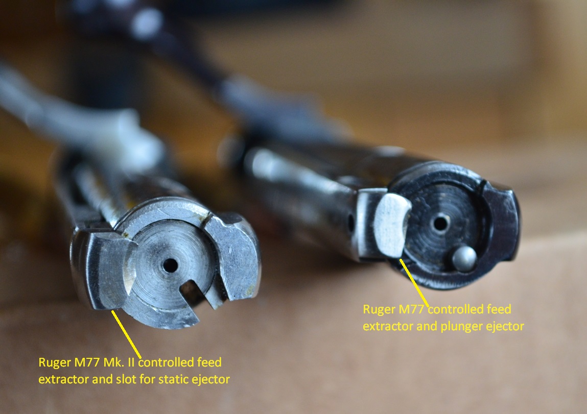 Ruger M77 Mk. II and M77 bolt faces.jpg