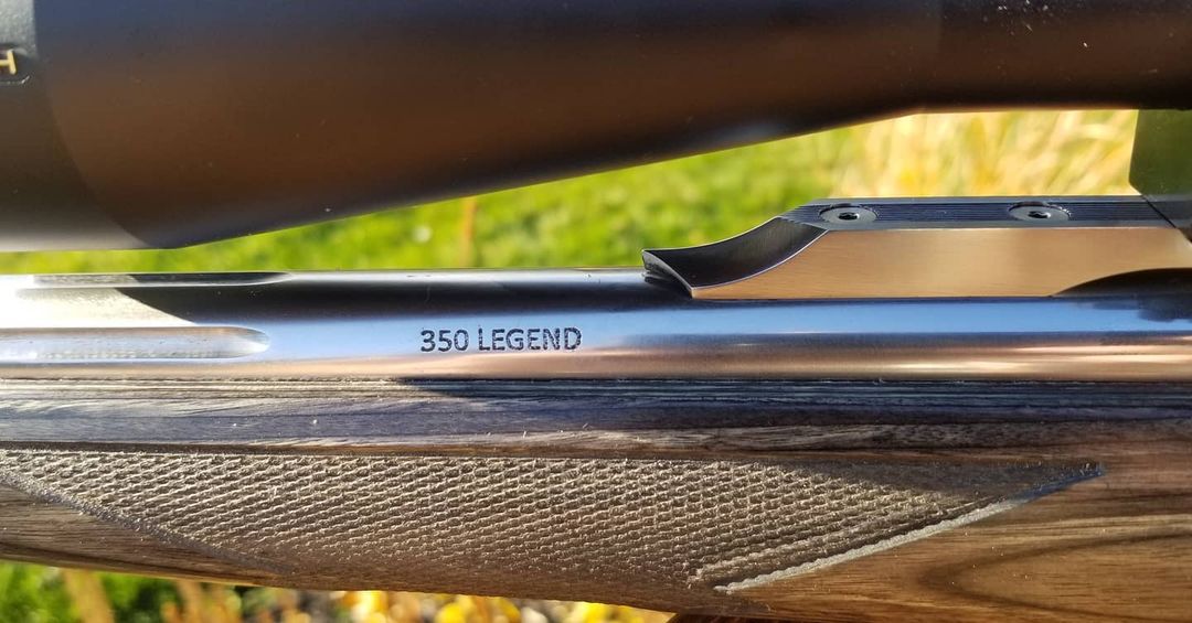 ruger2.jpg