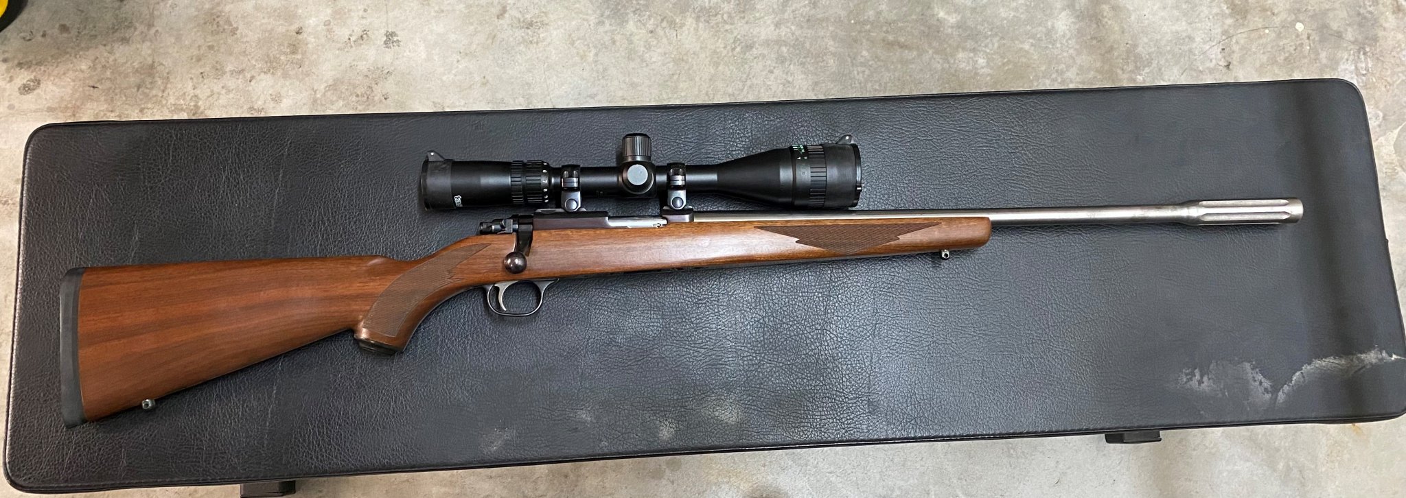 Running Boar 17HMR.jpg
