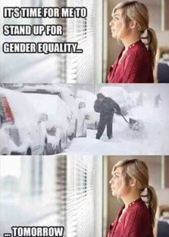 rvvovduszdly.jpg