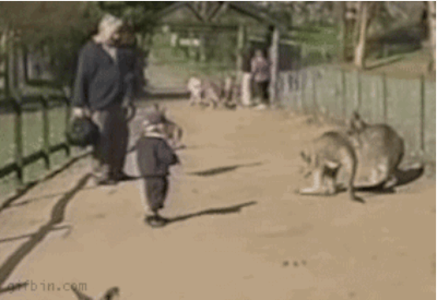 s-c6404972390c7b6661e8ee2bb66ec3131d8ffccd.gif