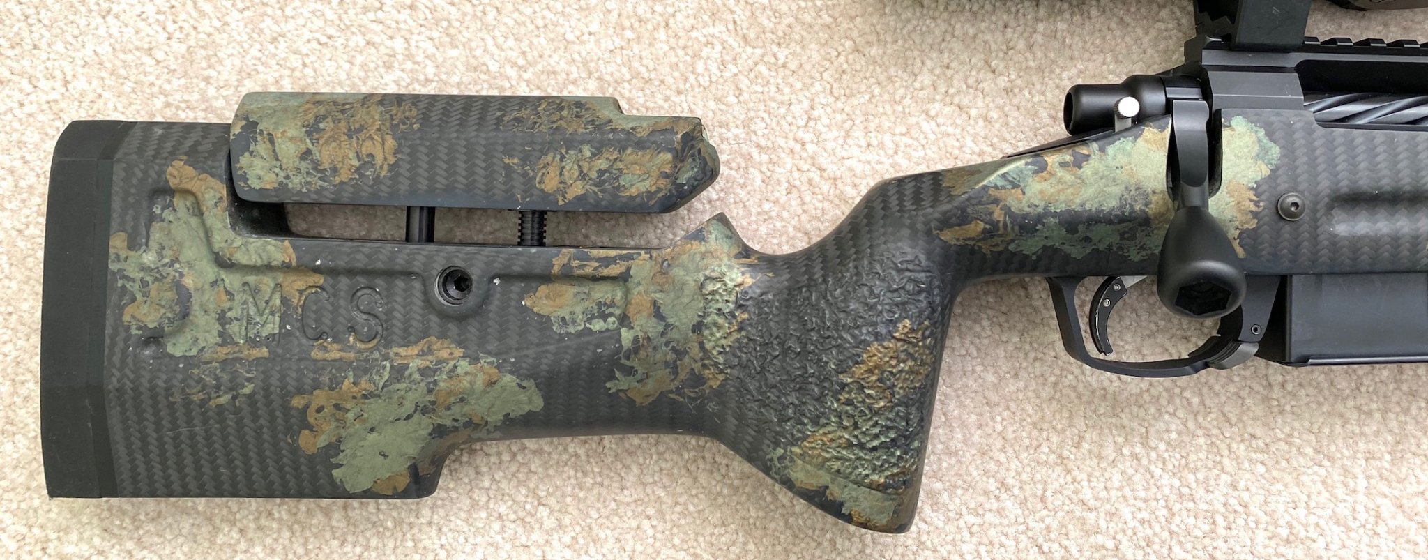 SAC4.jpg