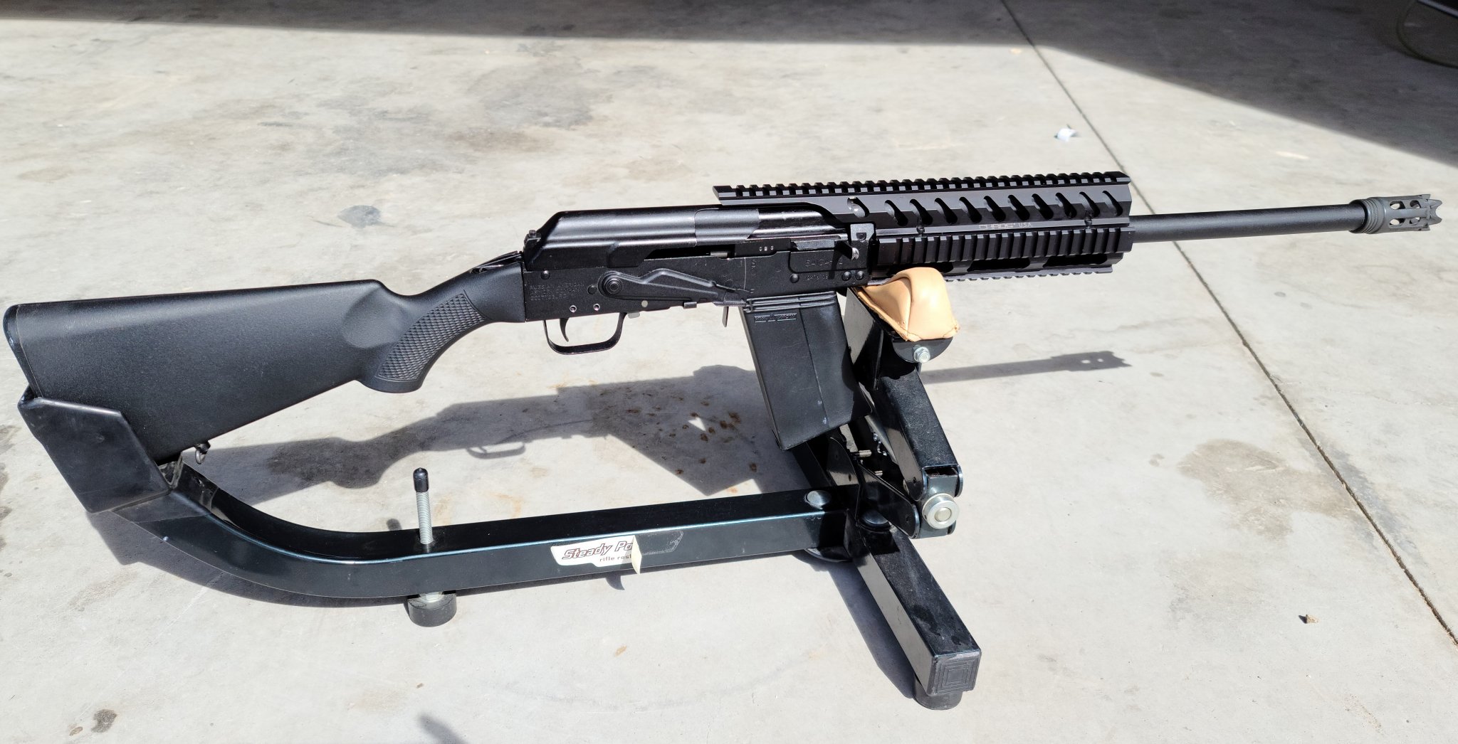 Saiga 1.jpg