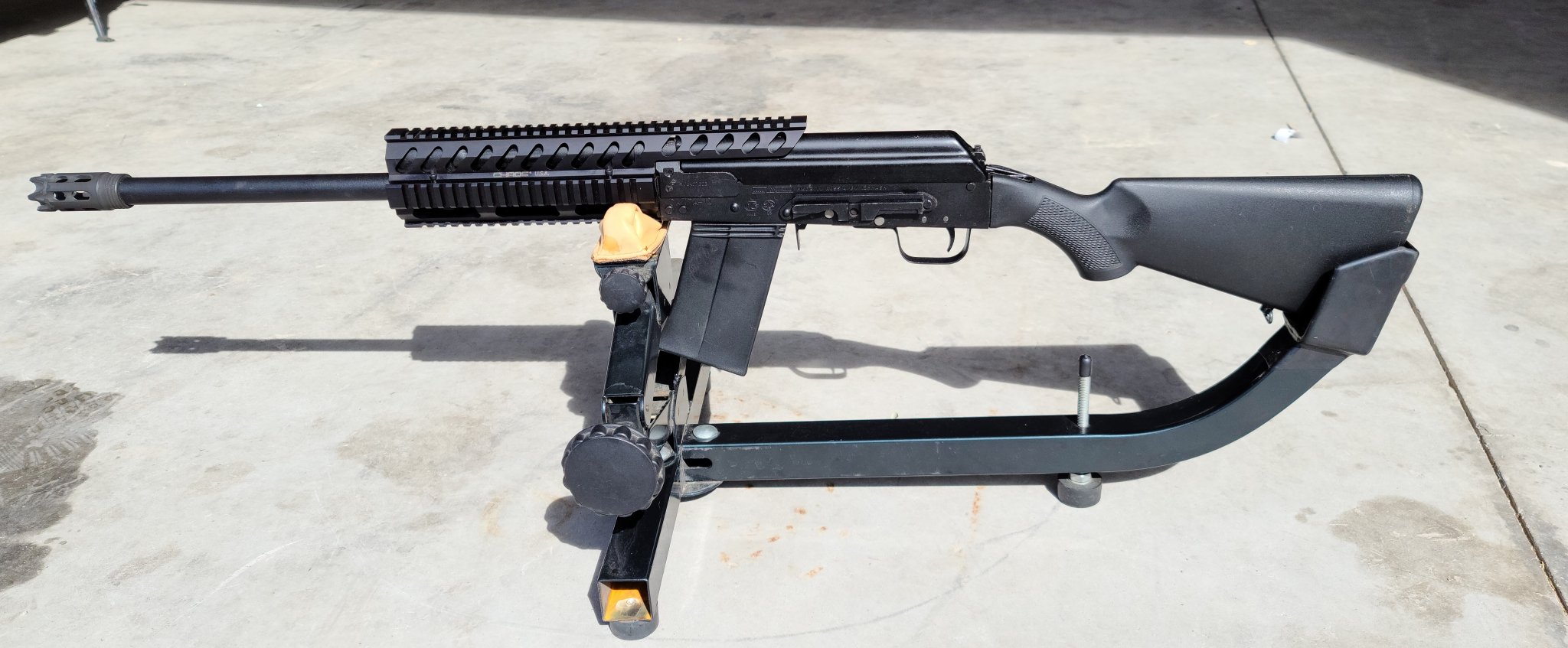 Saiga 2.jpg