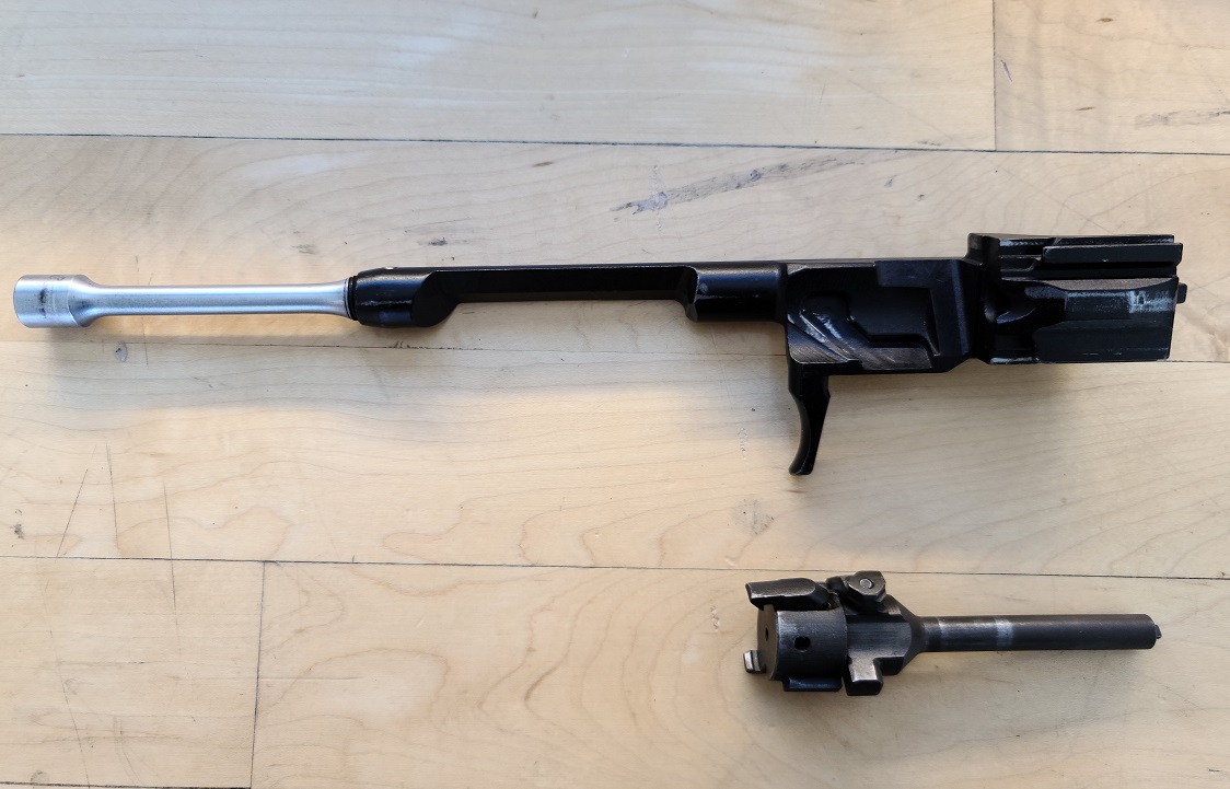Saiga 3.jpg