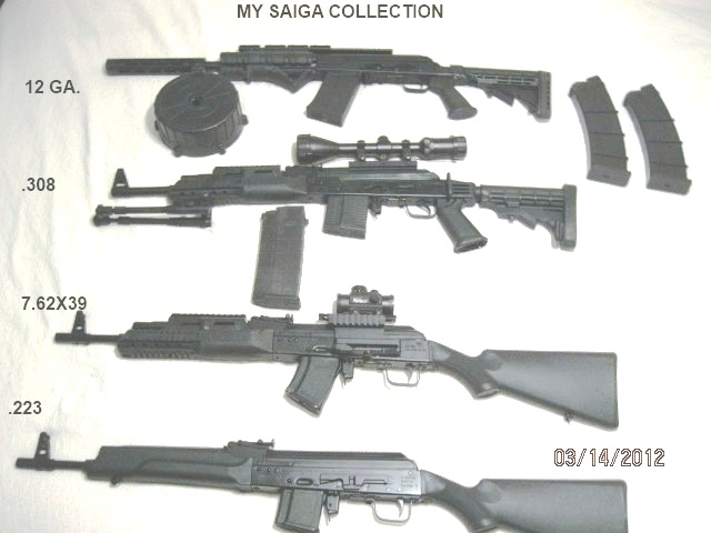 SAIGA Collection.jpg