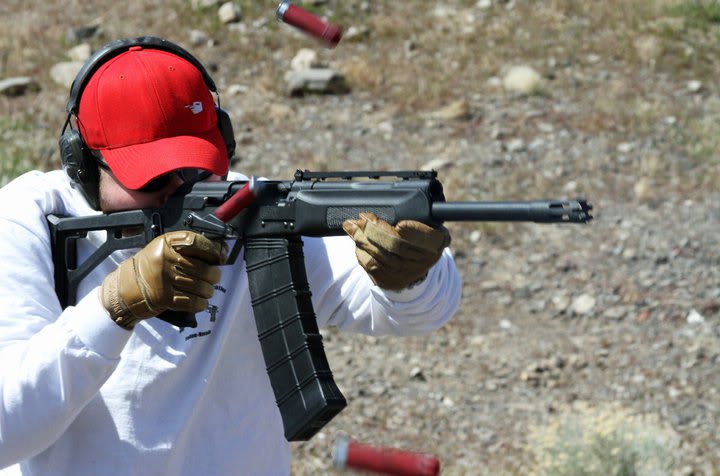 Saiga12.jpg