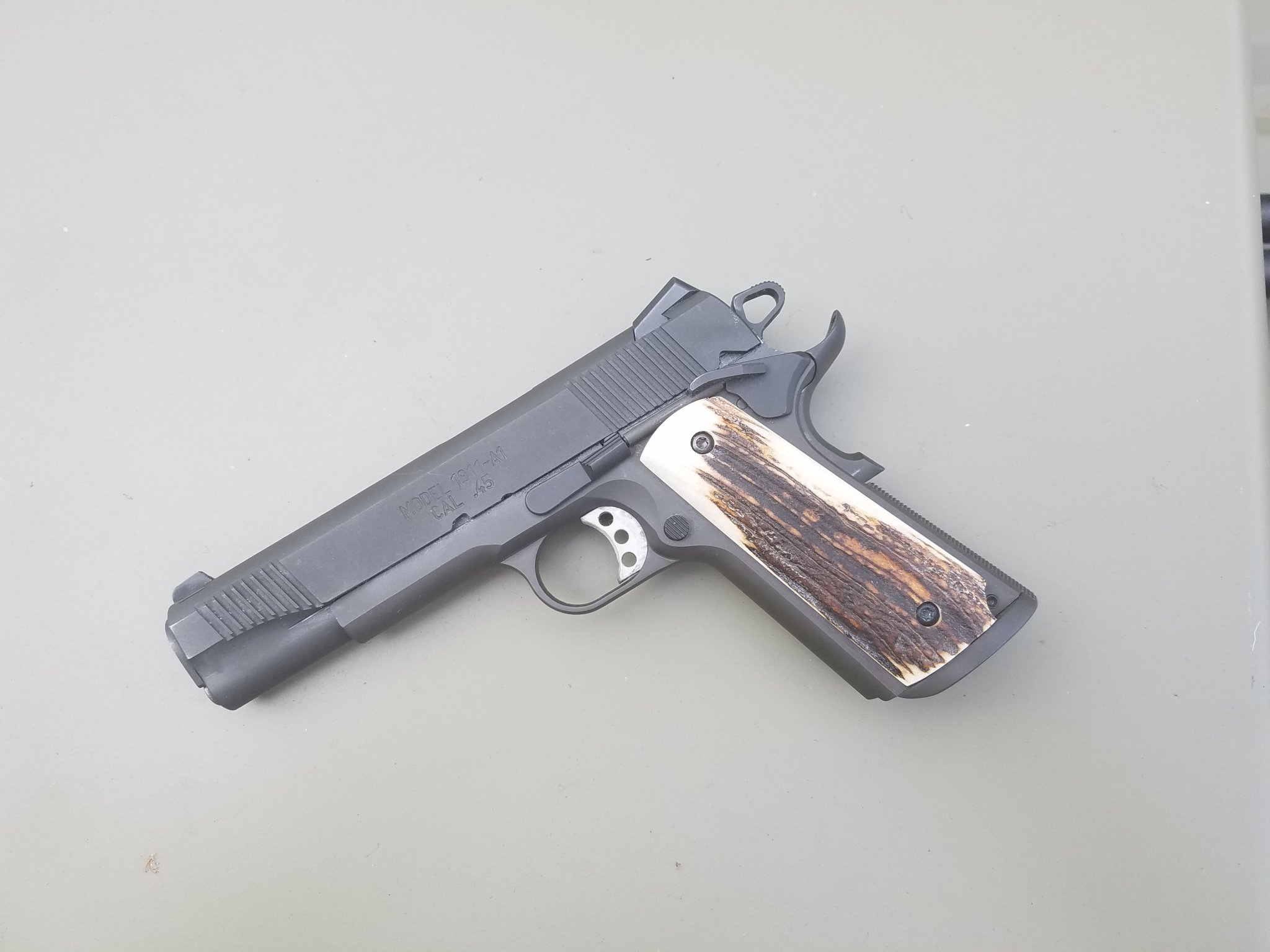 sambar1911.jpg