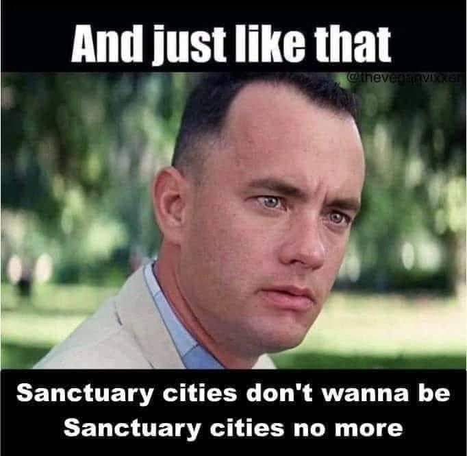 sanctuary.jpg