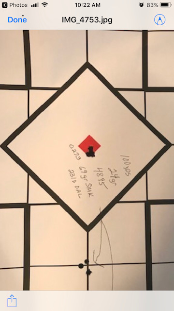 sav 25 target.jpg