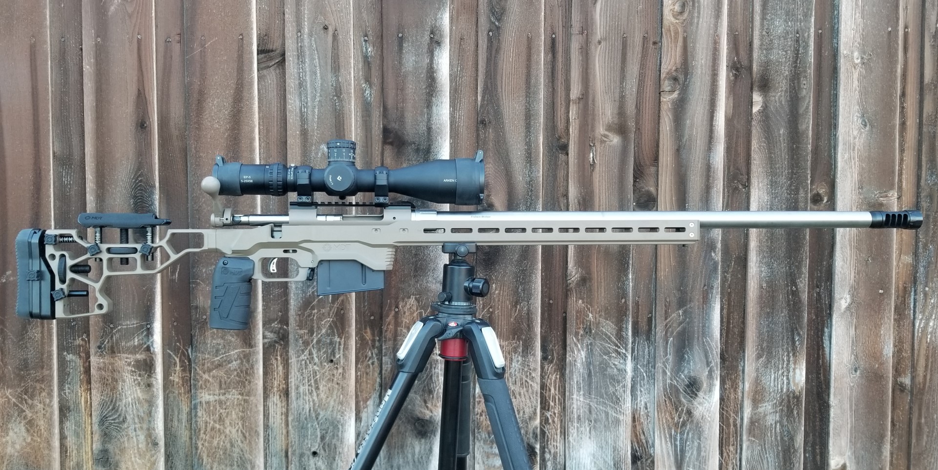 Sav338.jpg