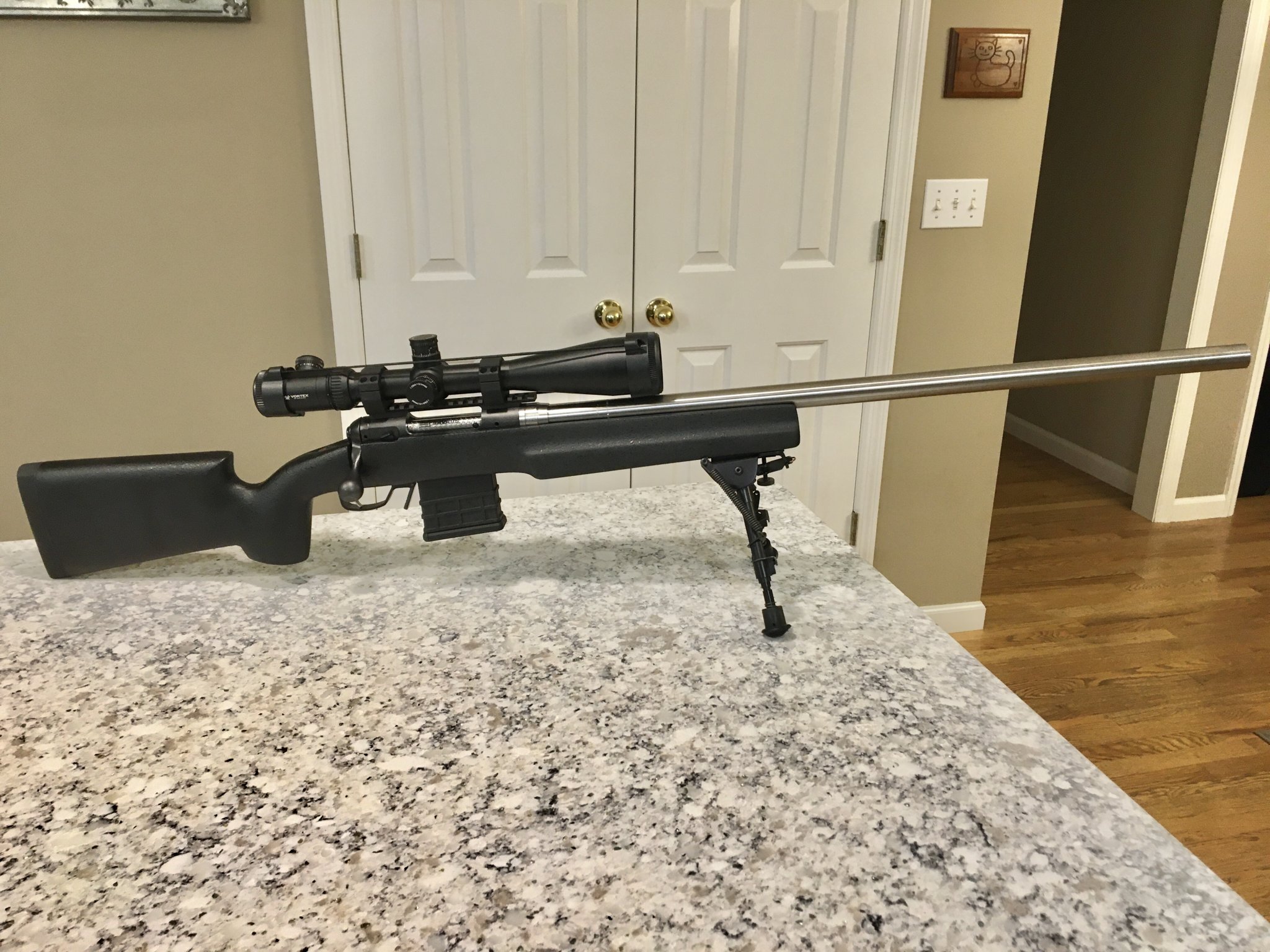 Savage 12 FV 5.jpg
