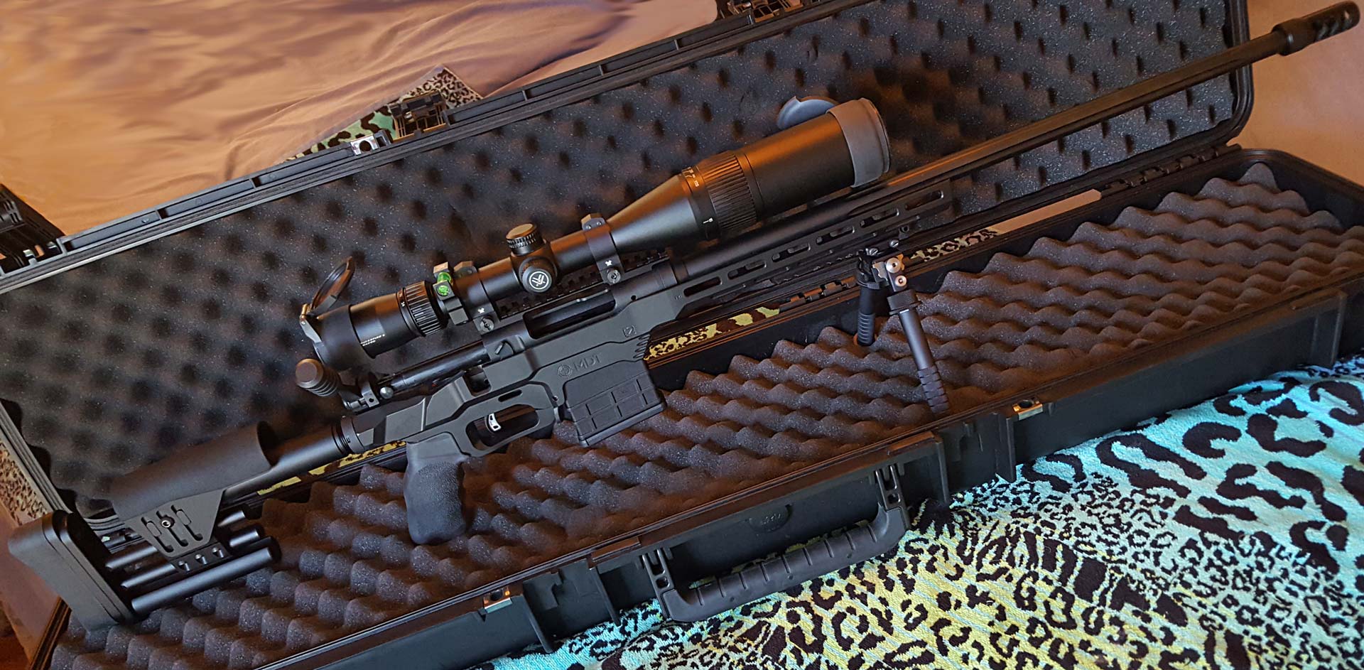 Savage10FCP_MDTchassis.jpg