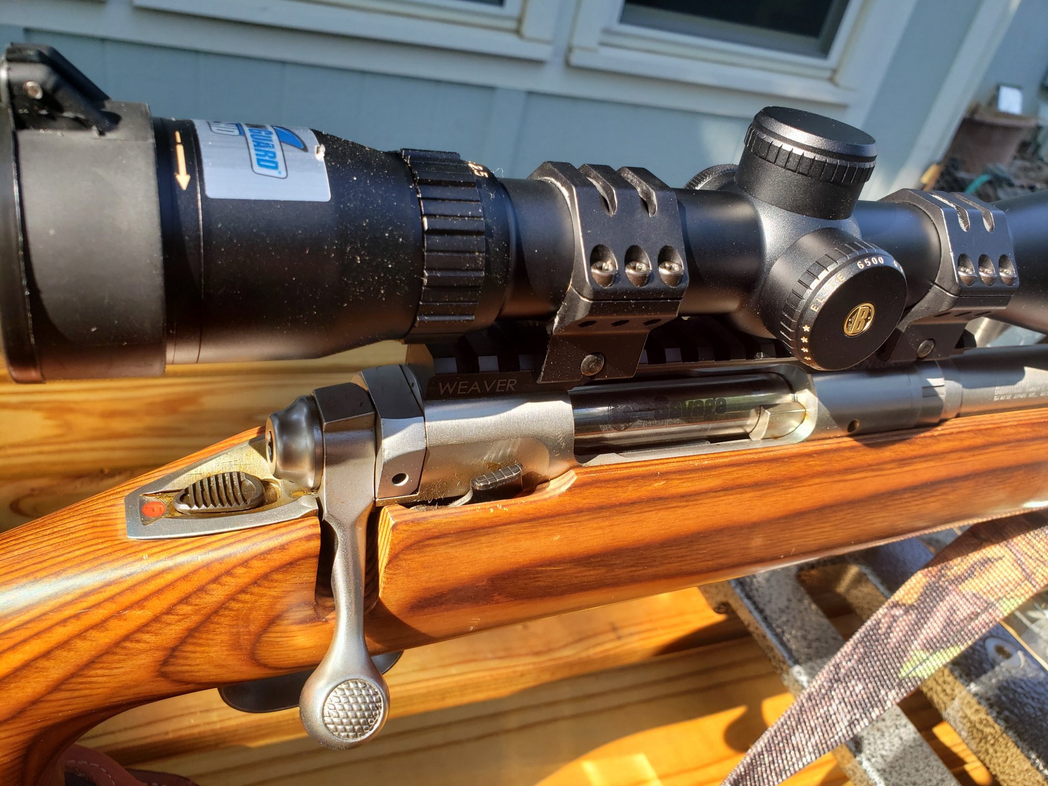 Savage12-2.jpg