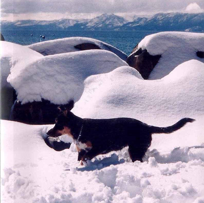 scan0034.jpg