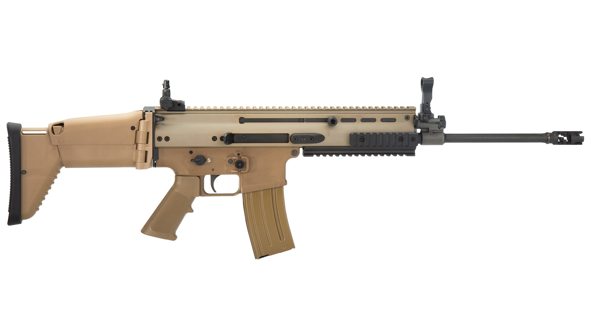 scar.jpg