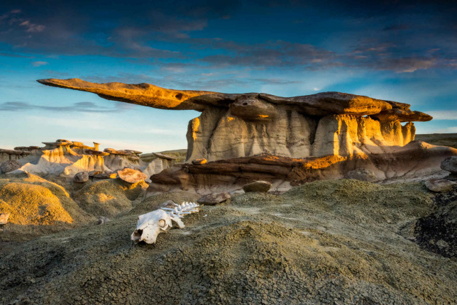 scenic_winner_22565273_ah-shi-sle-pah_wilderness_study_area_blm_small.jpg