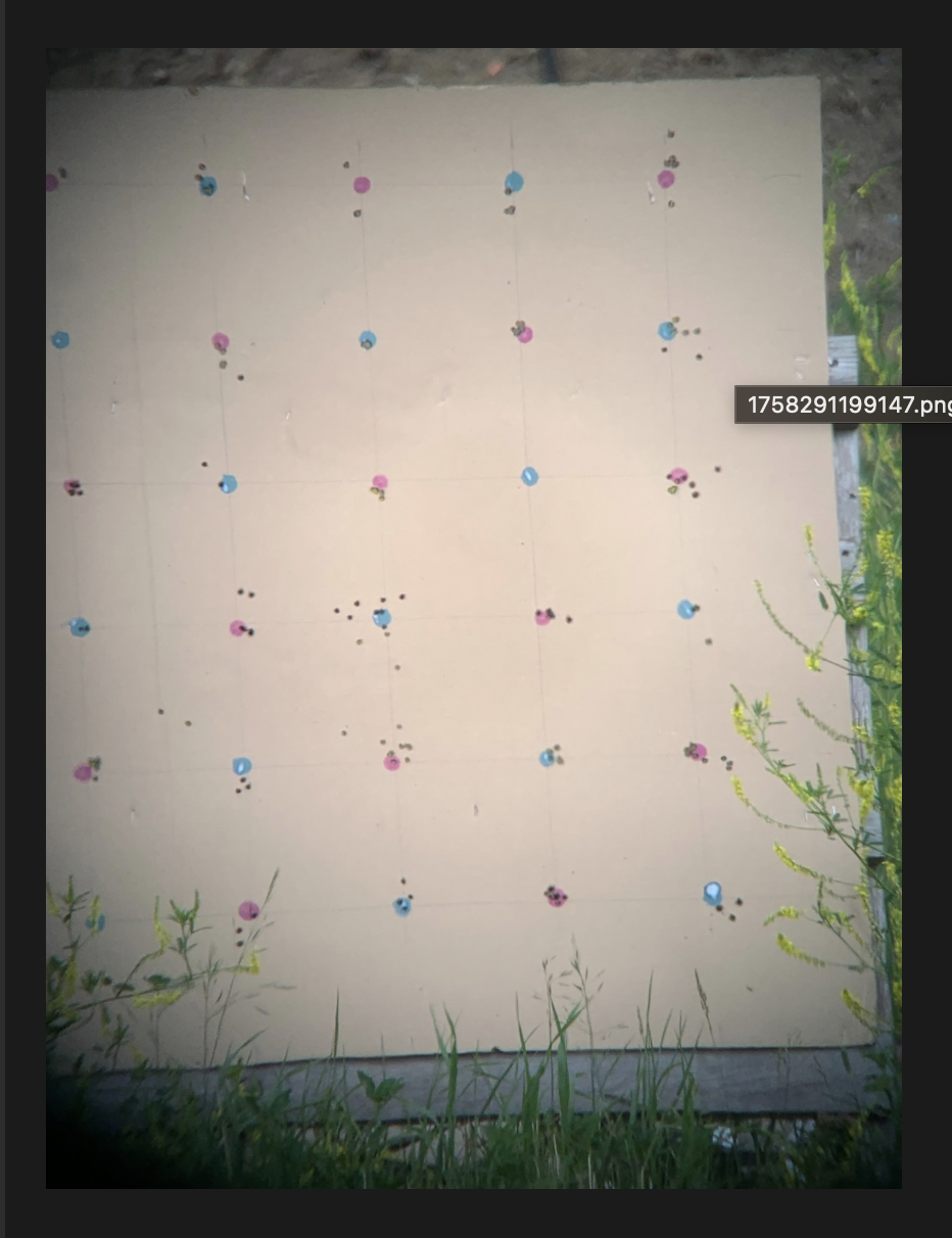 Screenshot 2025-09-21 at 10.28.36 PM.png