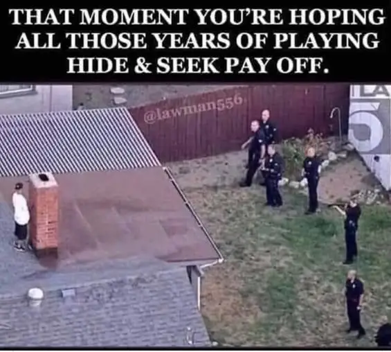 Screenshot 2025-09-23 at 14-53-42 1758468661472.webp (WEBP Image 565 × 508 pixels).png