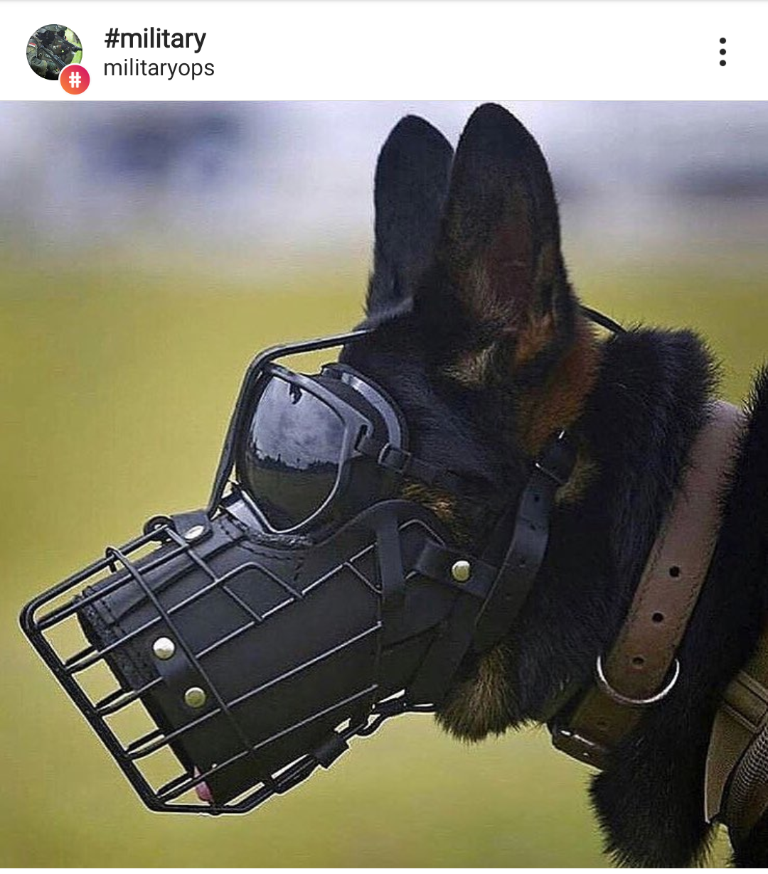7044951