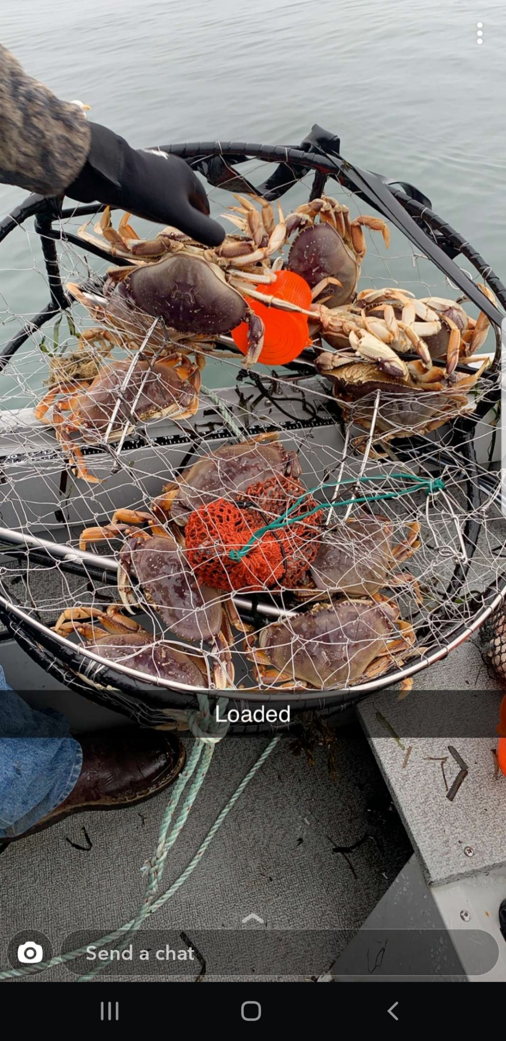 Screenshot_20191204-121725_Snapchat.jpg