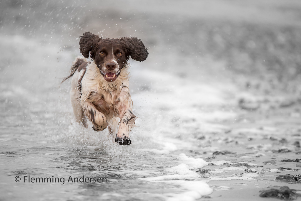 Screenshot_2020-06-25 8 52 running in water.png