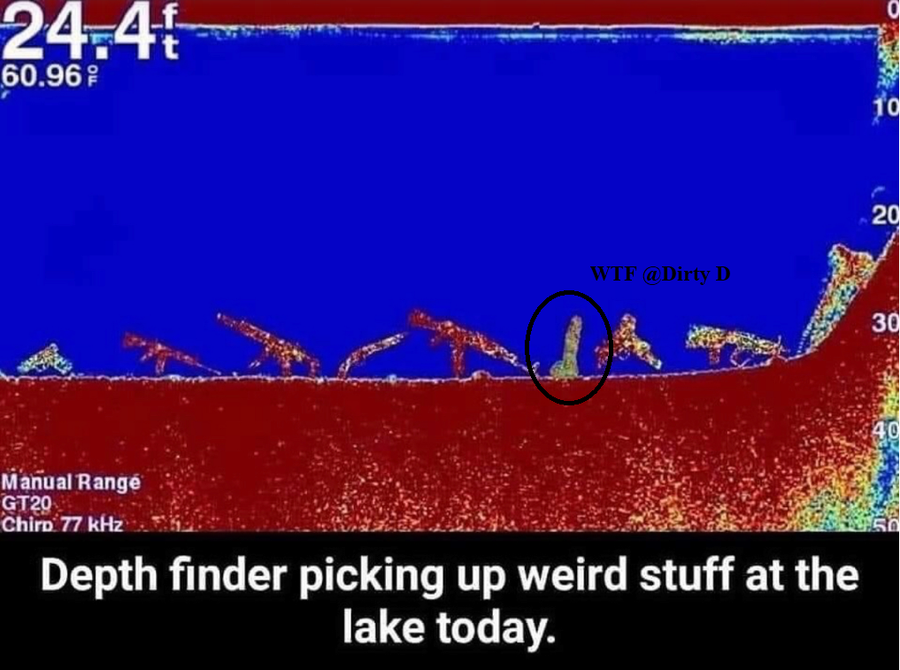 Screenshot_2020-11-10 Lake Bottoms look a lot different these days.png