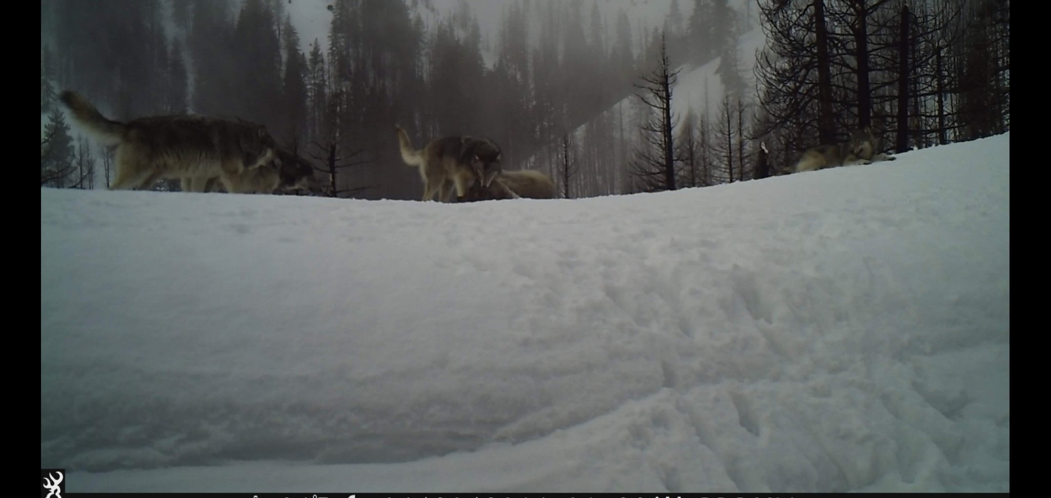 Screenshot_20200913-185747_Gallery.jpg