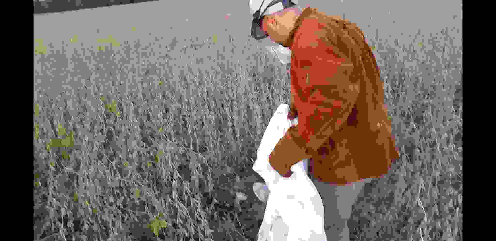 Screenshot_20201204-172918_Video Player.jpg
