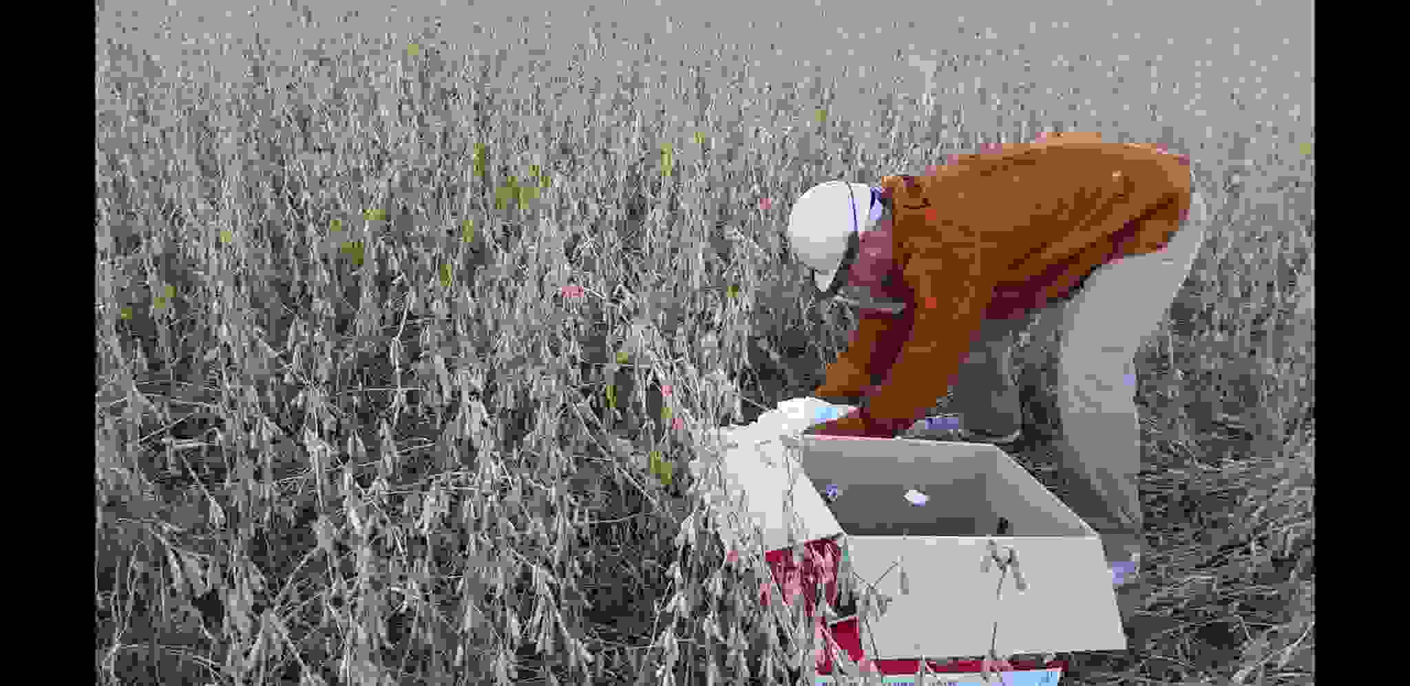 Screenshot_20201204-173059_Video Player.jpg