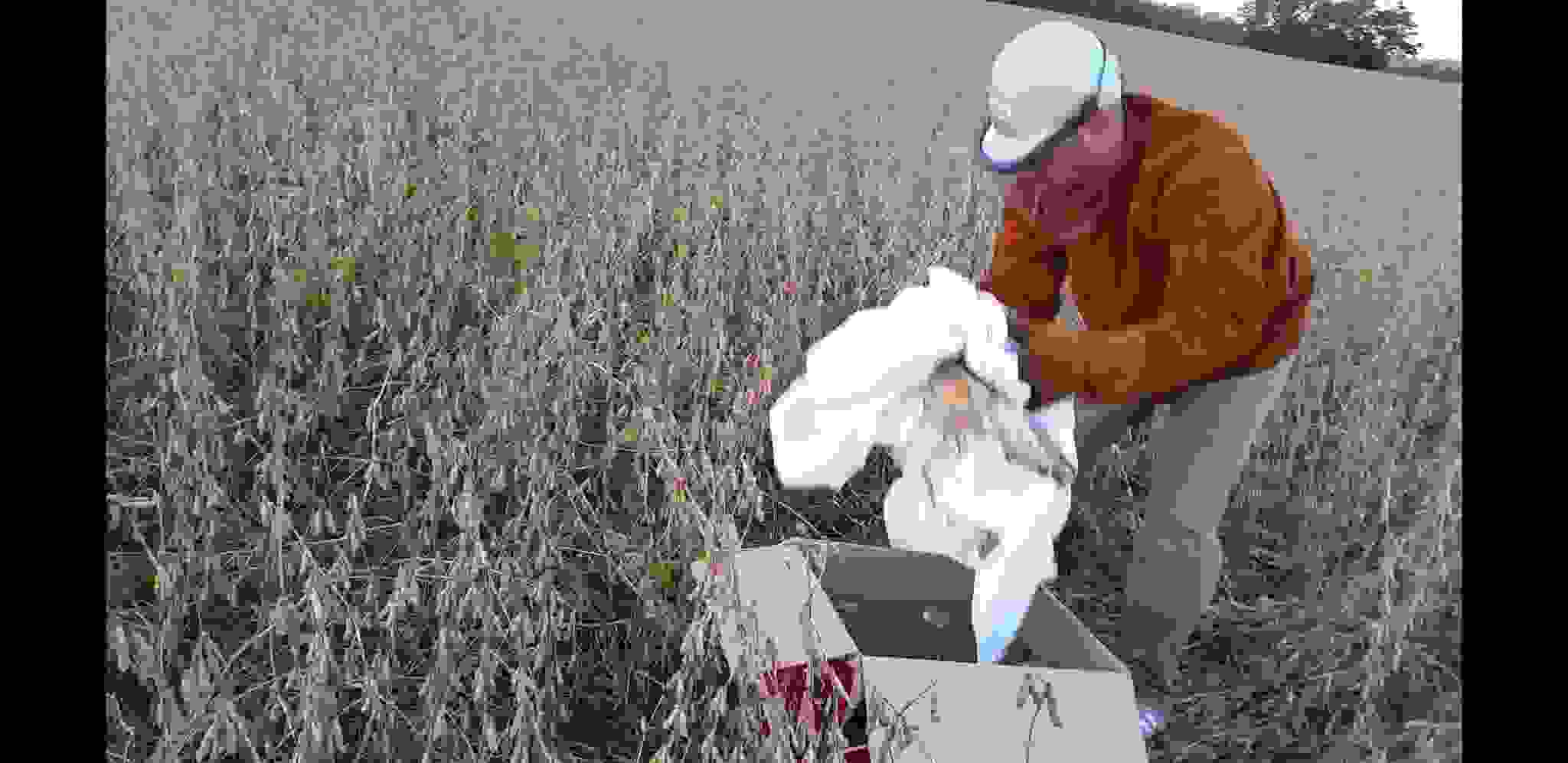 Screenshot_20201204-173105_Video Player.jpg