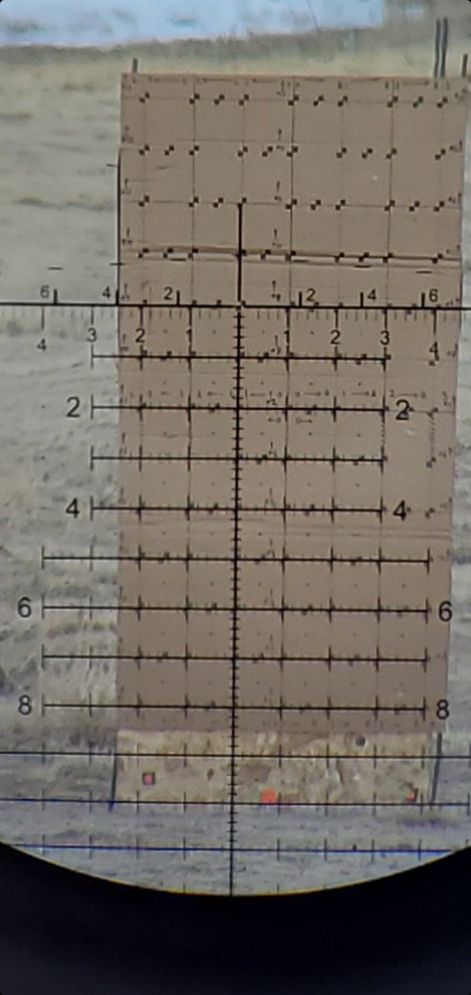 Screenshot_20210305-191336_Gallery.jpg
