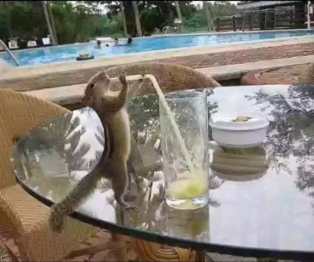 Screenshot_20210514-112633_Facebook.jpg