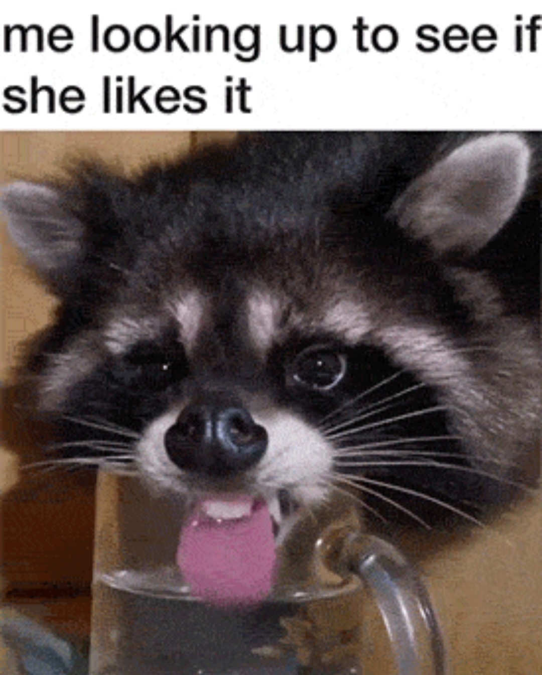Screenshot_20210624-192155_theCHIVE.jpg