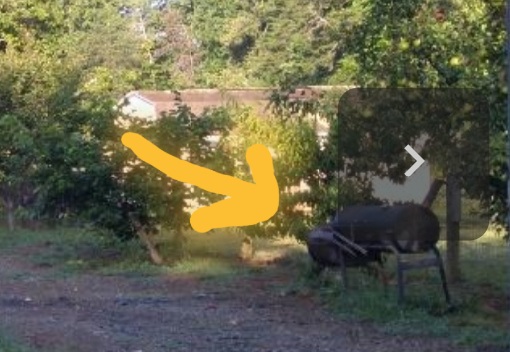 Screenshot_20210811-101309_Google.jpg