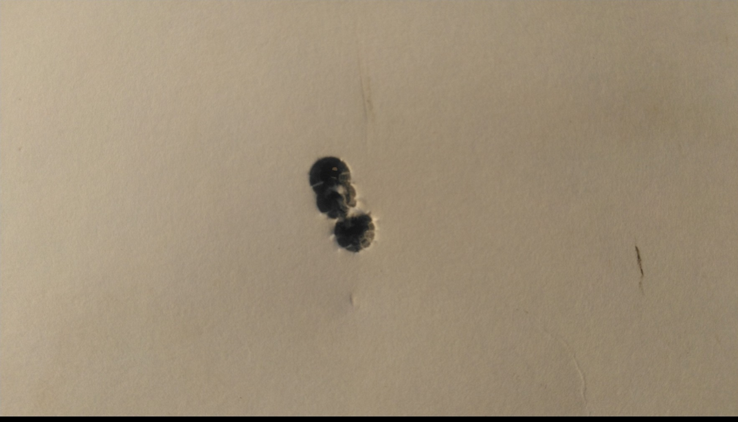 Screenshot_20211110-195444~2.png