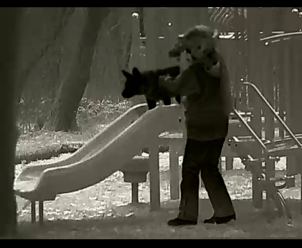 Screenshot_20220128-094725_Video Editor.jpg
