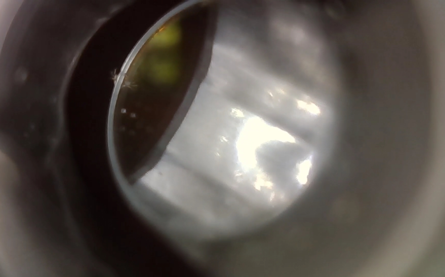 Screenshot_20220912-123549_Gallery.jpg