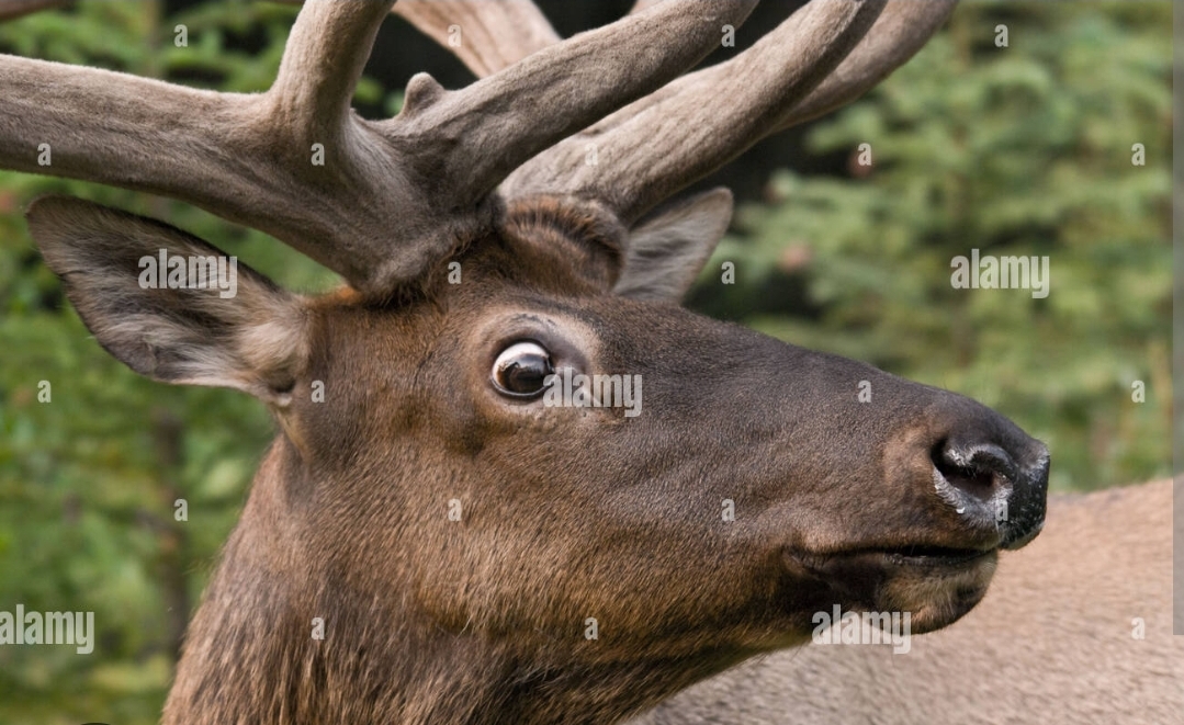 Screenshot_20240102_115136_Chrome.jpg